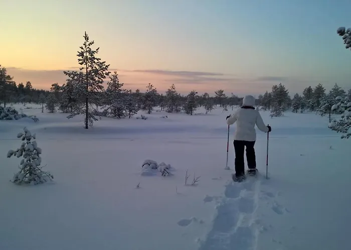Kanger Апартаменты Куусамо