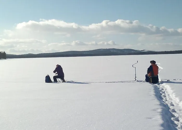 Апартаменты Kanger *