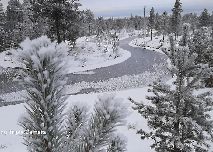 Апартаменты Kanger