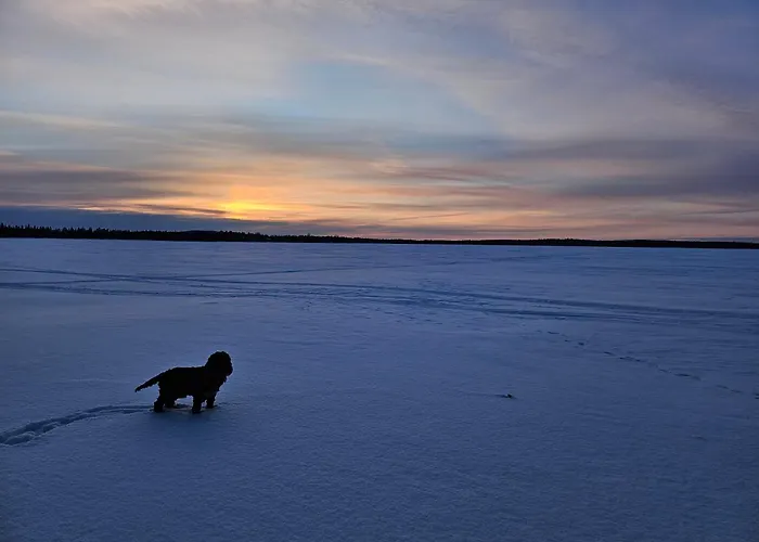 Апартаменты Kanger *